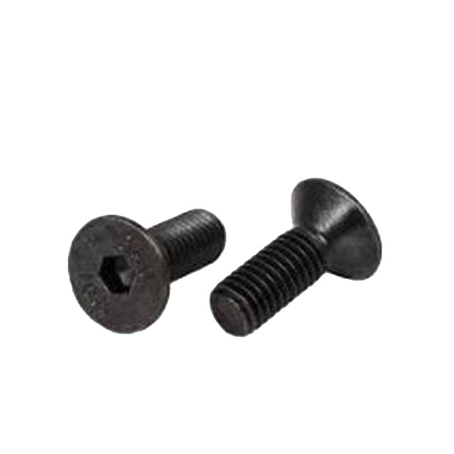 Fanotec 2ea M5x14mm flat head screws and 3mm hex key